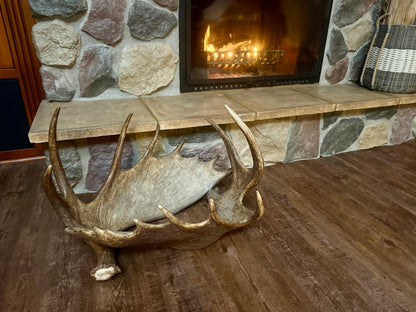 Moose Antler Firewood Holder