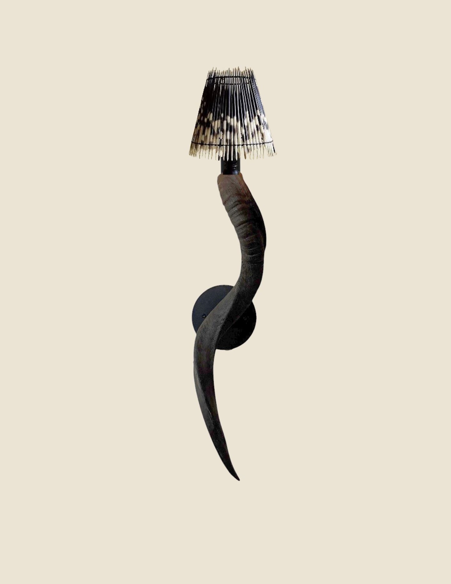 Kudo Horn Sconce